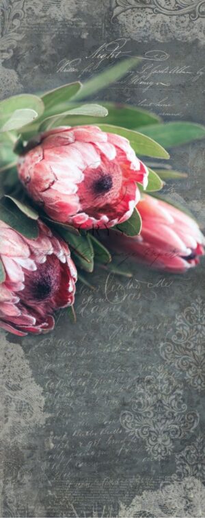 Protea Door